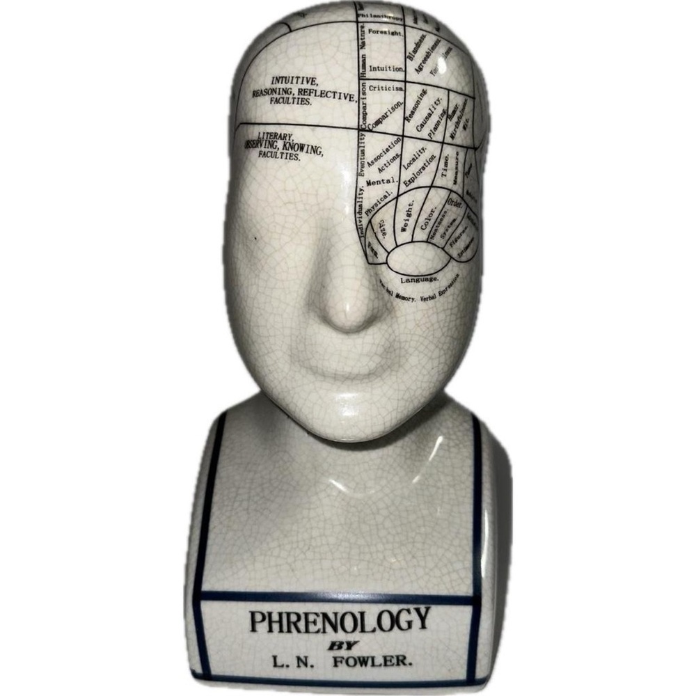 Phrenology Head By L.N. Fowler Statue Bust Porcelain Ceramic Science Of Psych